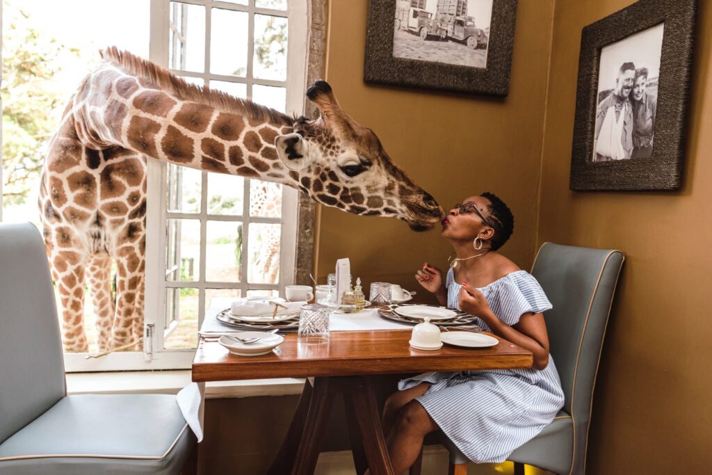 Romantic breakfast with giraffes at Giraffe Manor in Nairobi, Kenya – a unique Valentine's Day getaway in Africa.
