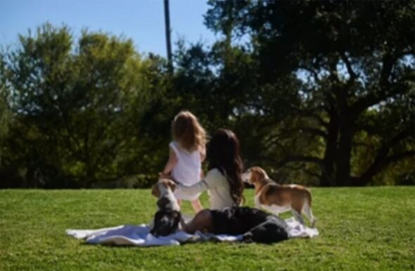 Meghan, Lilibet and their dogs on a picnic