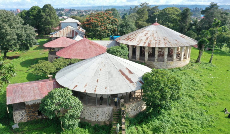 Aerial view of circular traditional buildings with metal roofs surrounded by lush greenery in an African town